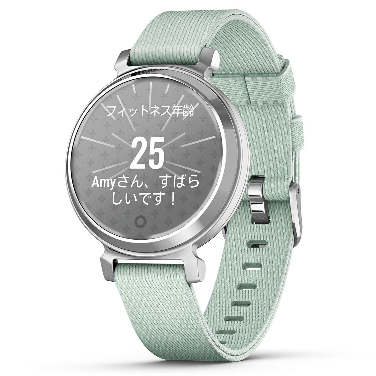 ガーミン GARMIN Lily 2 Classic リリー2 クラシック GPS スマートウォッチ ウェアラブル 010-02839-53 腕時計 レディース Sage Gray Nylon/Silver【2024 新作】