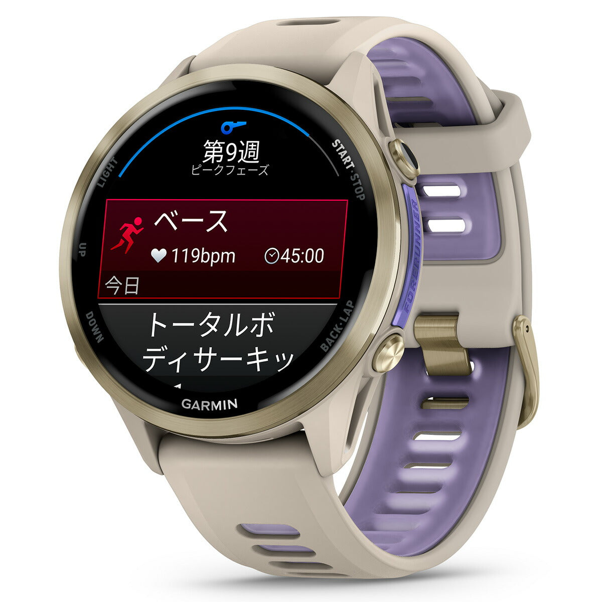 ガーミン GARMIN Forerunner 970 フォアランナー 970 GPS ランニング スマートウォッチ 010-02969-52 腕時計 メンズ レディース French Grey/Indigo【2025 新作】