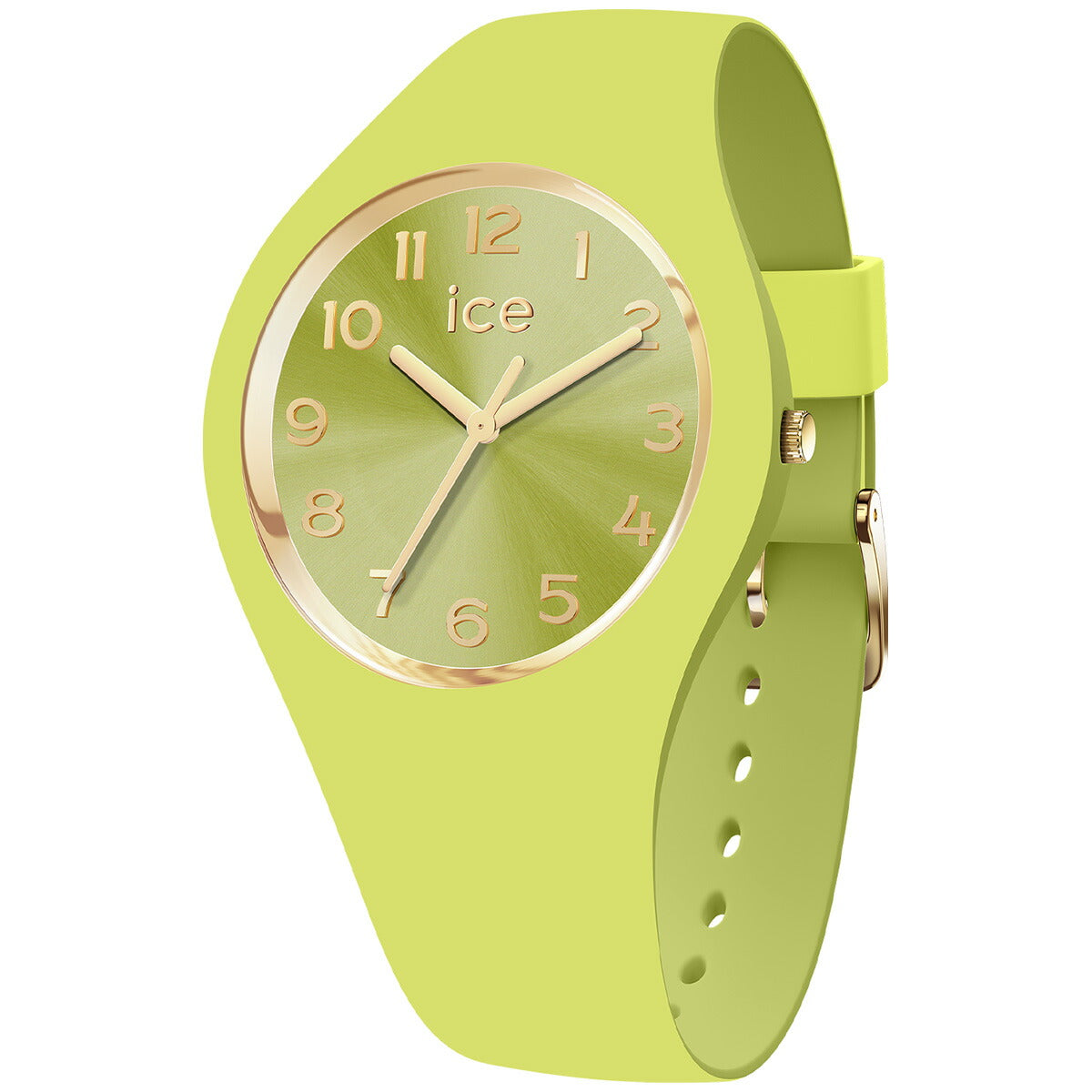 アイスウォッチ ICE-WATCH 腕時計 レディース アイスデュオシック ICE duo chic ライム スモール+ 021820
