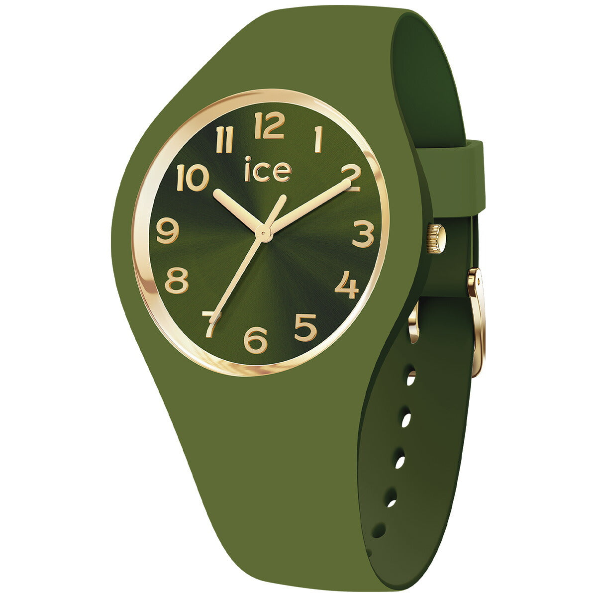 アイスウォッチ ICE-WATCH 腕時計 レディース アイスデュオシック ICE duo chic キウイ スモール+ 021824
