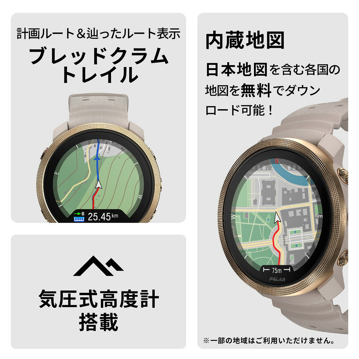 ポラール POLAR Vantage M3 ヴァンテ―ジエムスリー スマートウォッチ GPS マルチスポーツウォッチ 心拍計 ランニング 腕時計 ゴールド グレージュ S-L 900112399