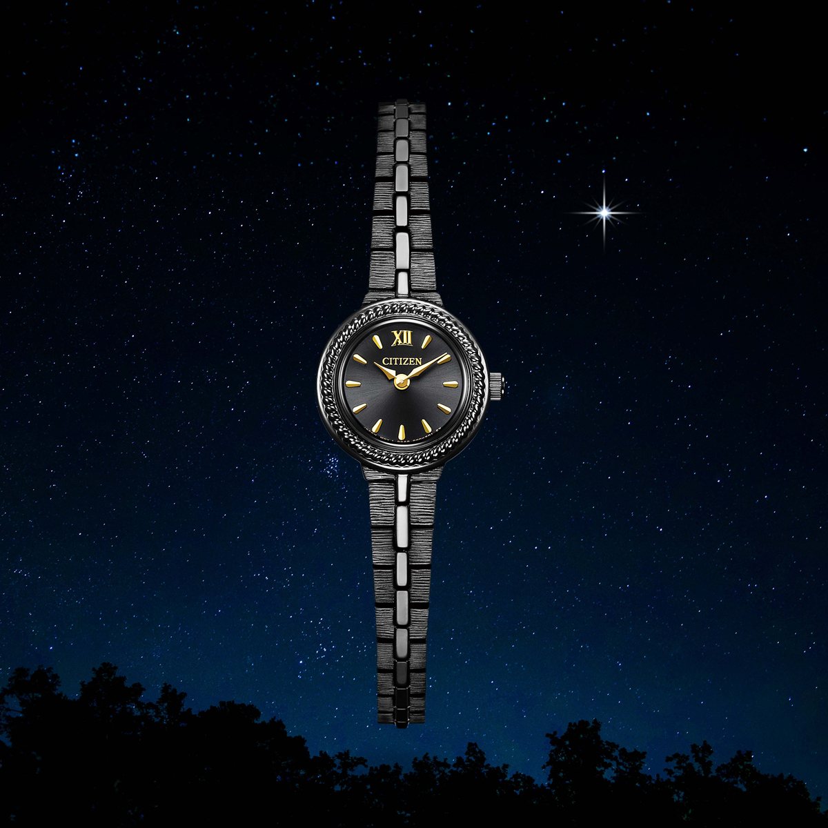 シチズン キー CITIZEN Kii: エコドライブ ソーラー 特定店取扱いモデル 腕時計 レディース EG2986-53E【2025 新作】