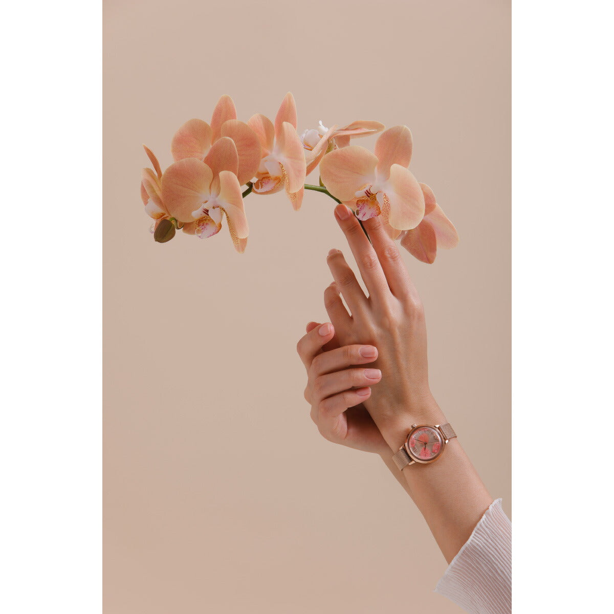 マトウ MATOW 腕時計 レディース Shiki Collection Bouquet ブーケット 山桜 ローズゴールドメッシュ MW007001【2025 新作】