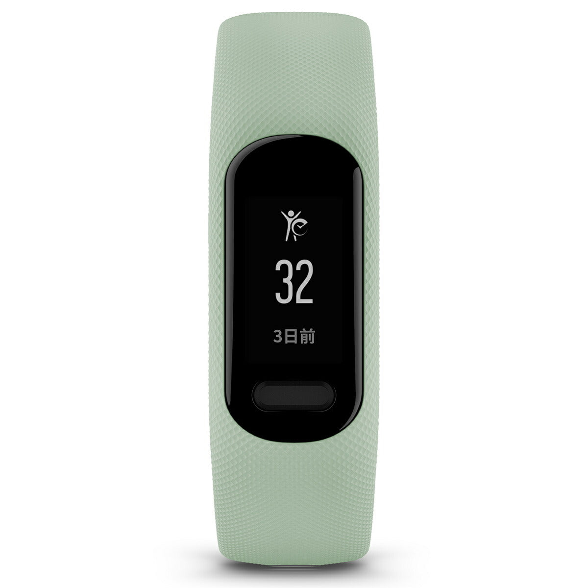 ガーミン GARMIN vivosmart 5 ヴィヴォスマート5 GPS スマートウォッチ ライフログ アクティビティトラッカー 腕時計 メンズ レディース Mint S/M 010-02645-62