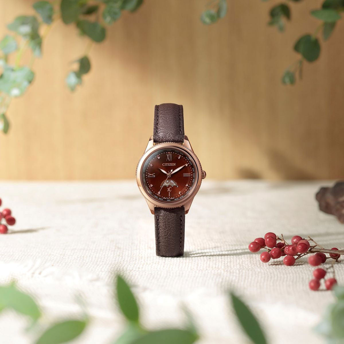 シチズン クロスシー エコドライブ 電波時計 ティタニア ハッピーフライト サン&ムーン 腕時計 レディース CITIZEN xC daichi EE1002-01W