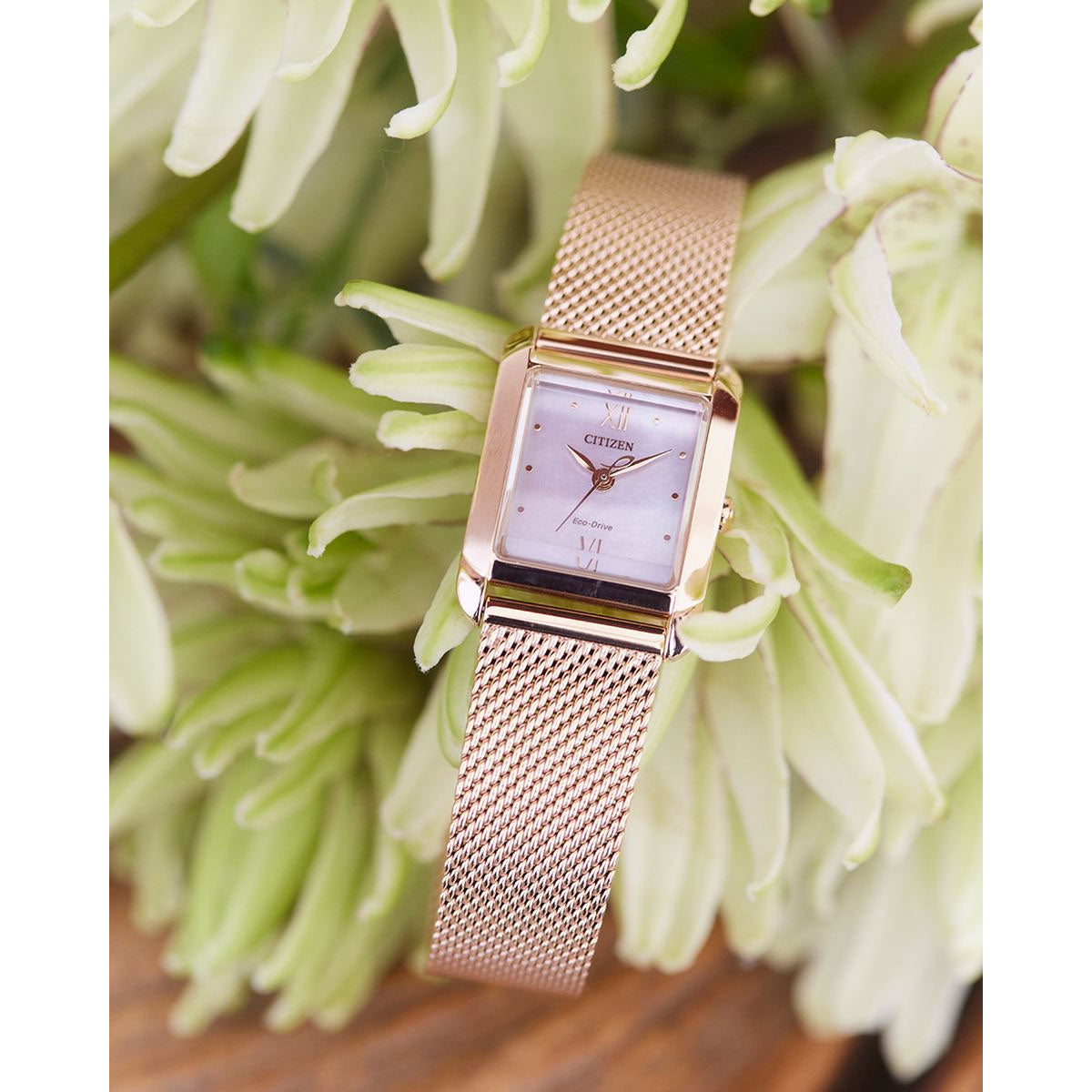 シチズン エル CITIZEN L エコドライブ 腕時計 レディース スクエアシェイプ Square EW5593-64D