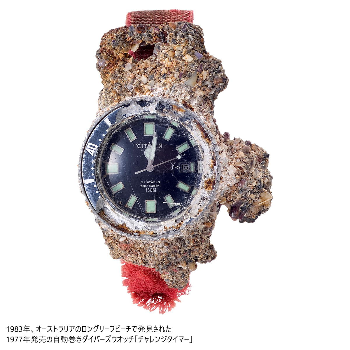 シチズン プロマスター メカニカル ダイバー 200m NB6021-68L フジツボダイバー 自動巻き メンズ 腕時計 CITIZEN PROMASTER MARINE チャレンジダイバー デザイン継承