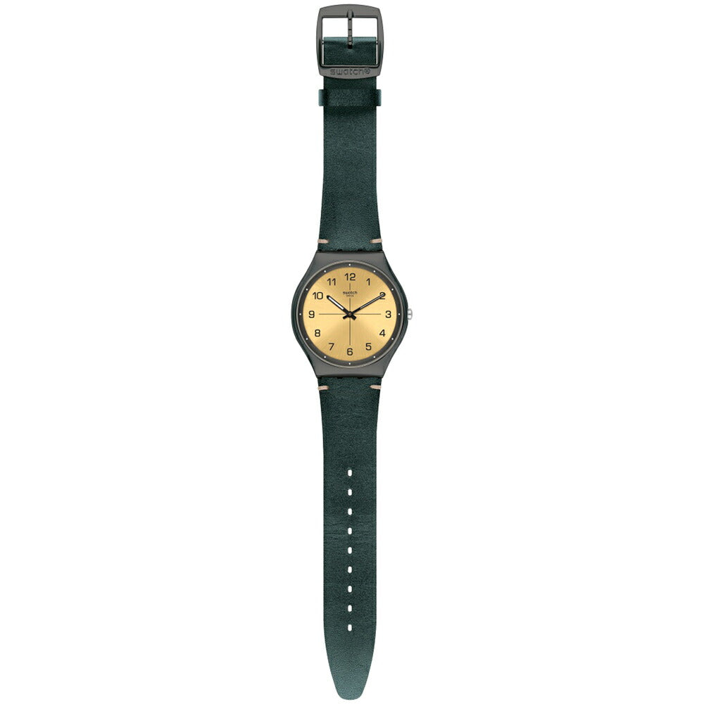 swatch スウォッチ 腕時計 メンズ レディース スキン アイロニー42 トロバライズド Skin Irony 42 TROVALIZED SS07M101