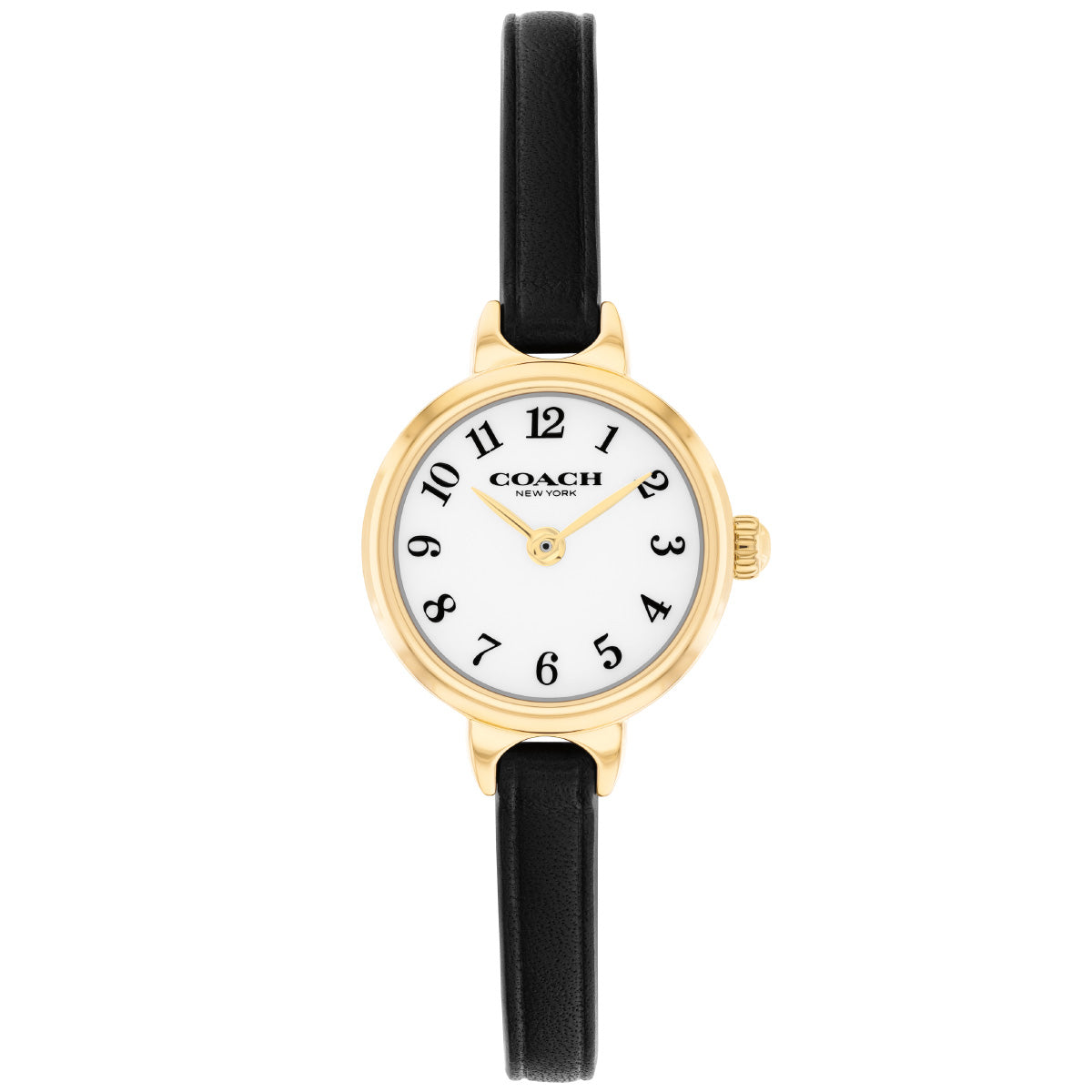 コーチ COACH 腕時計 レディース アイリス IRIS 22.5MM 14504654【2026 新作】
