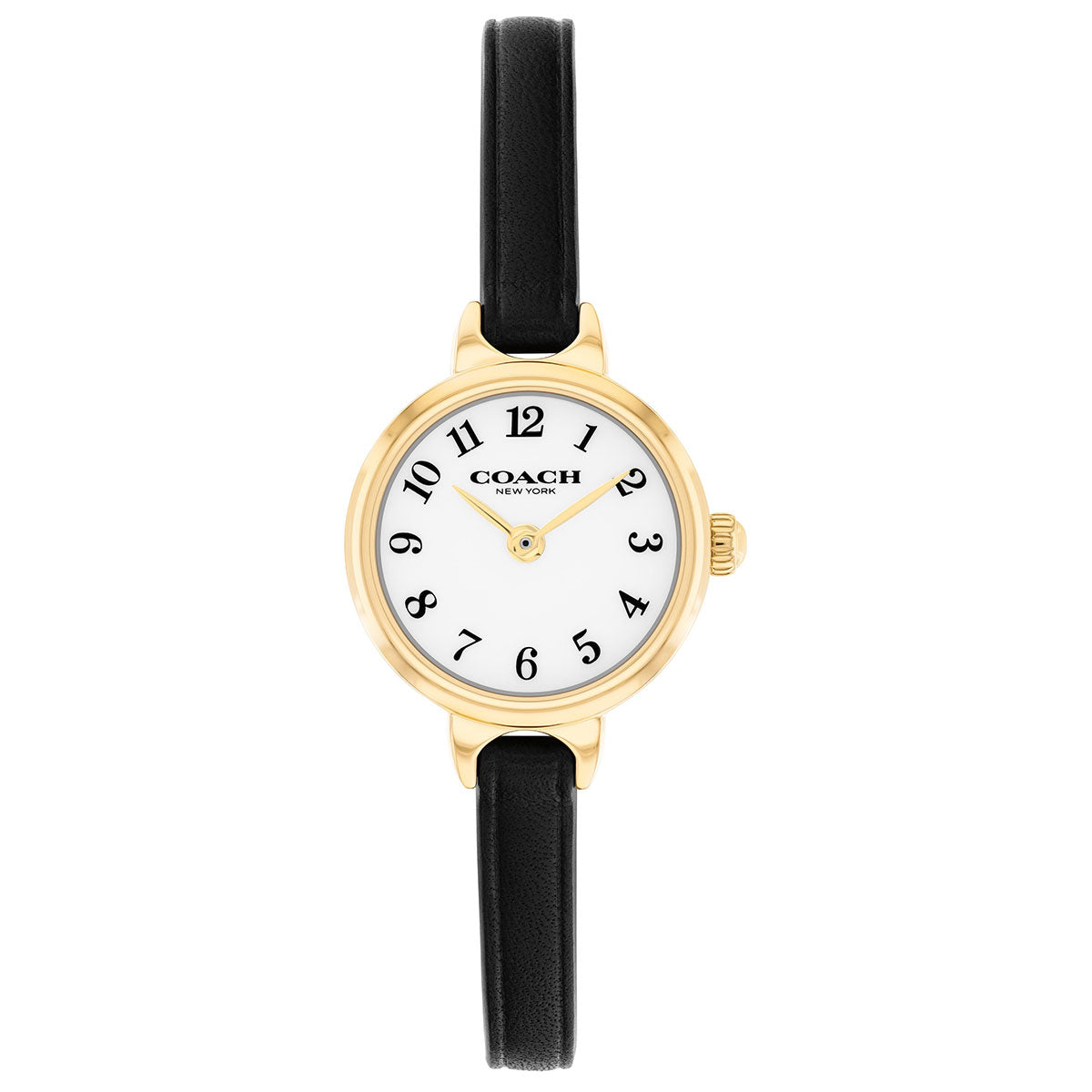 コーチ COACH 腕時計 レディース アイリス IRIS 22.5MM 14504654【2026 新作】
