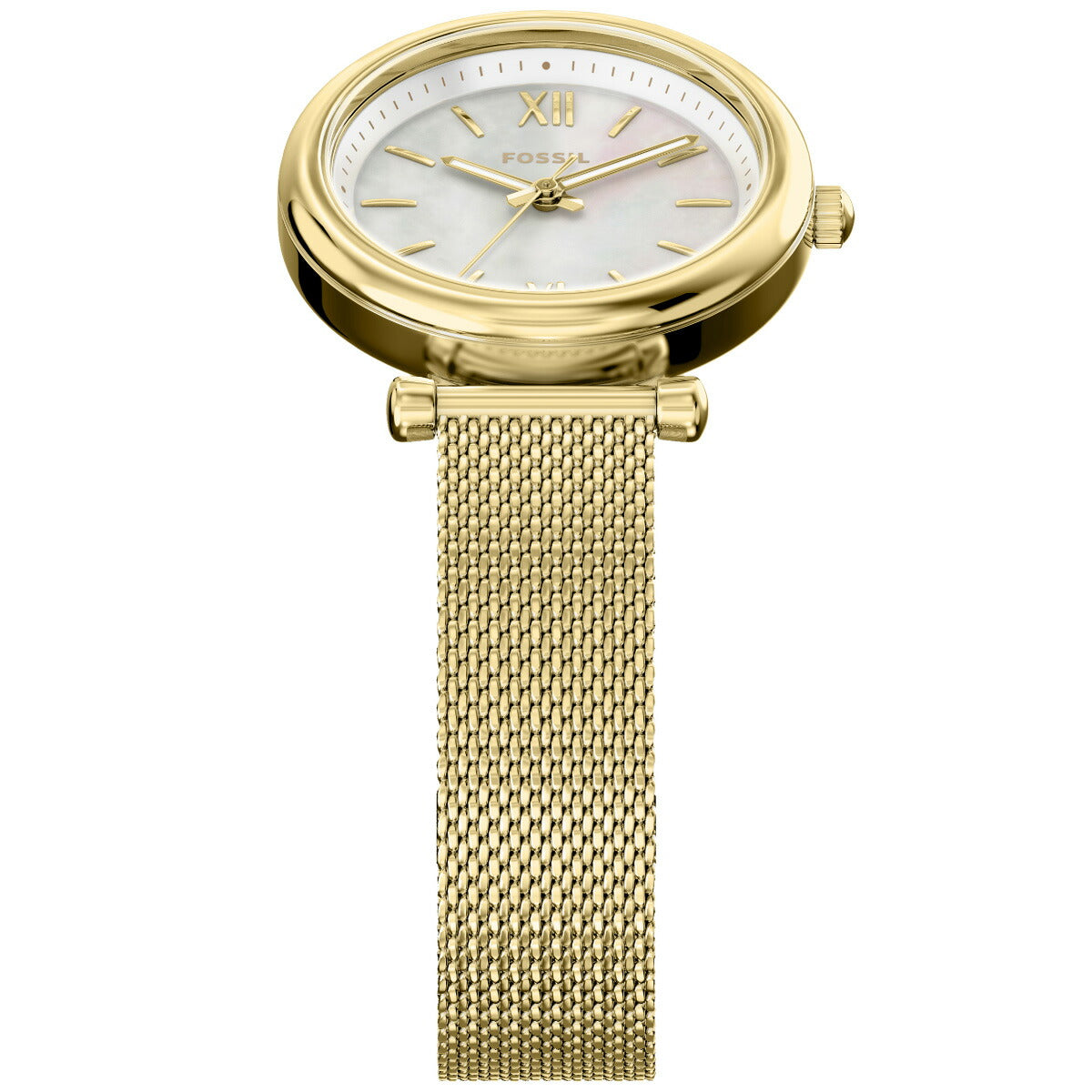 フォッシル FOSSIL 腕時計 レディース CARLIE 三針 ゴールドトーン ステンレススチール ES5462【2026 新作】