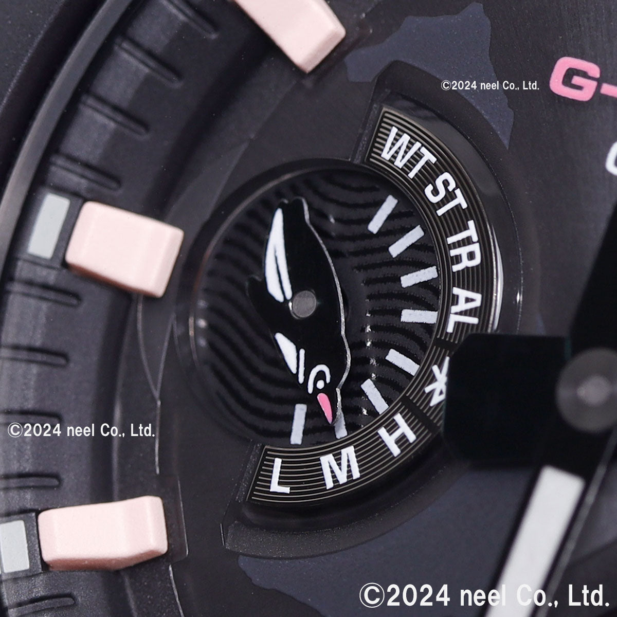 G-SHOCK カシオ Gショック CASIO チャールズ・ダーウィン財団