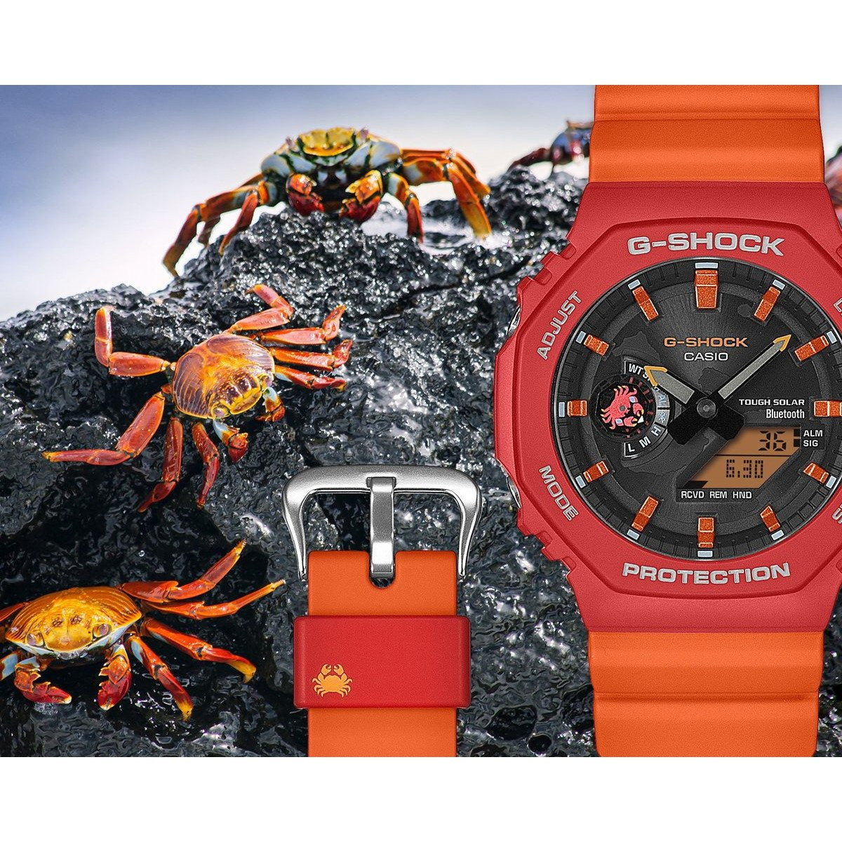 G-SHOCK カシオ Gショック CASIO ソーラー Charles Darwin Foundation コラボ 限定 アナデジ 腕時計 メンズ GA-B2100DF-4AJR ガラパゴスベニイワガニ【2025 新作】