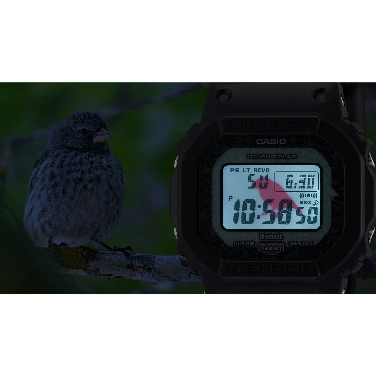 G-SHOCK 電波 ソーラー 電波時計 カシオ Gショック CASIO デジタル 腕時計 メンズ GW-B5600CD-1A3JR チャールズ・ダーウィン財団 コラボモデル ダーウィンフィンチ スカレシア