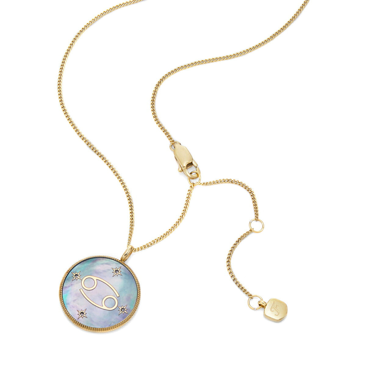 フォッシル FOSSIL Sutton アクセサリー ネックレス ペンダント かに座 レディース JF04841710