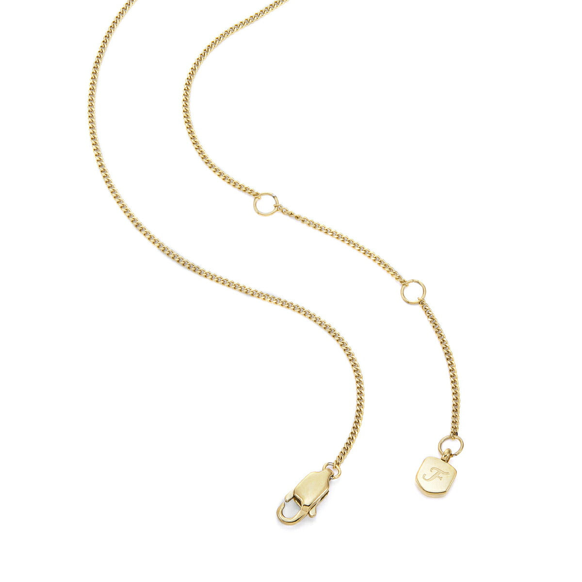 フォッシル FOSSIL Sutton アクセサリー ネックレス ペンダント しし座 レディース JF04842710