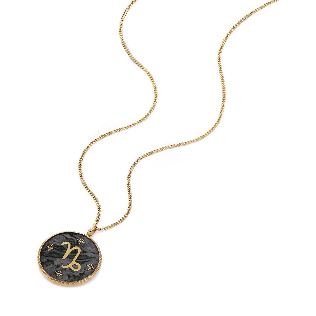 フォッシル FOSSIL Sutton アクセサリー ネックレス ペンダント やぎ座 レディース JF04847710