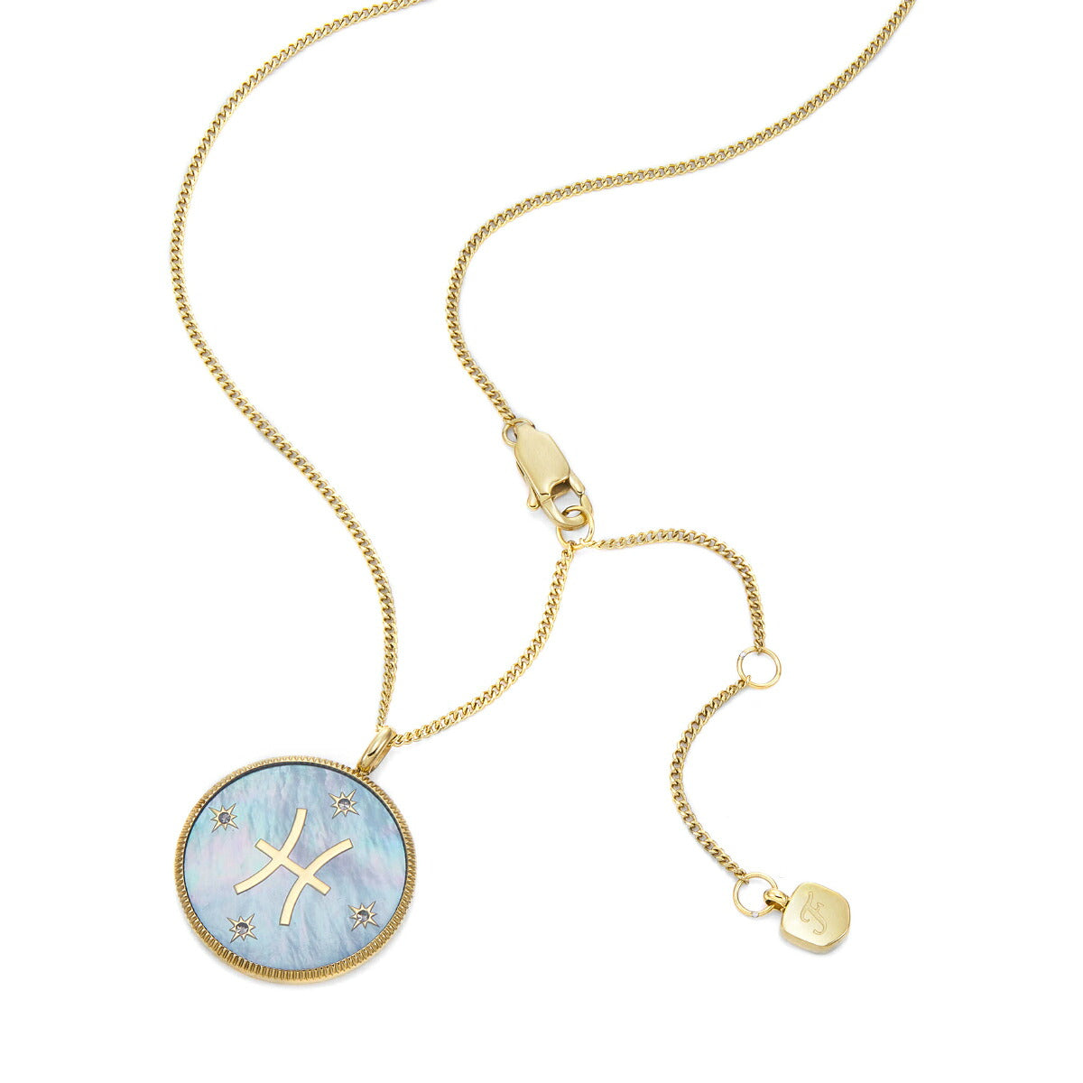 フォッシル FOSSIL Sutton アクセサリー ネックレス ペンダント うお座 レディース JF04848710