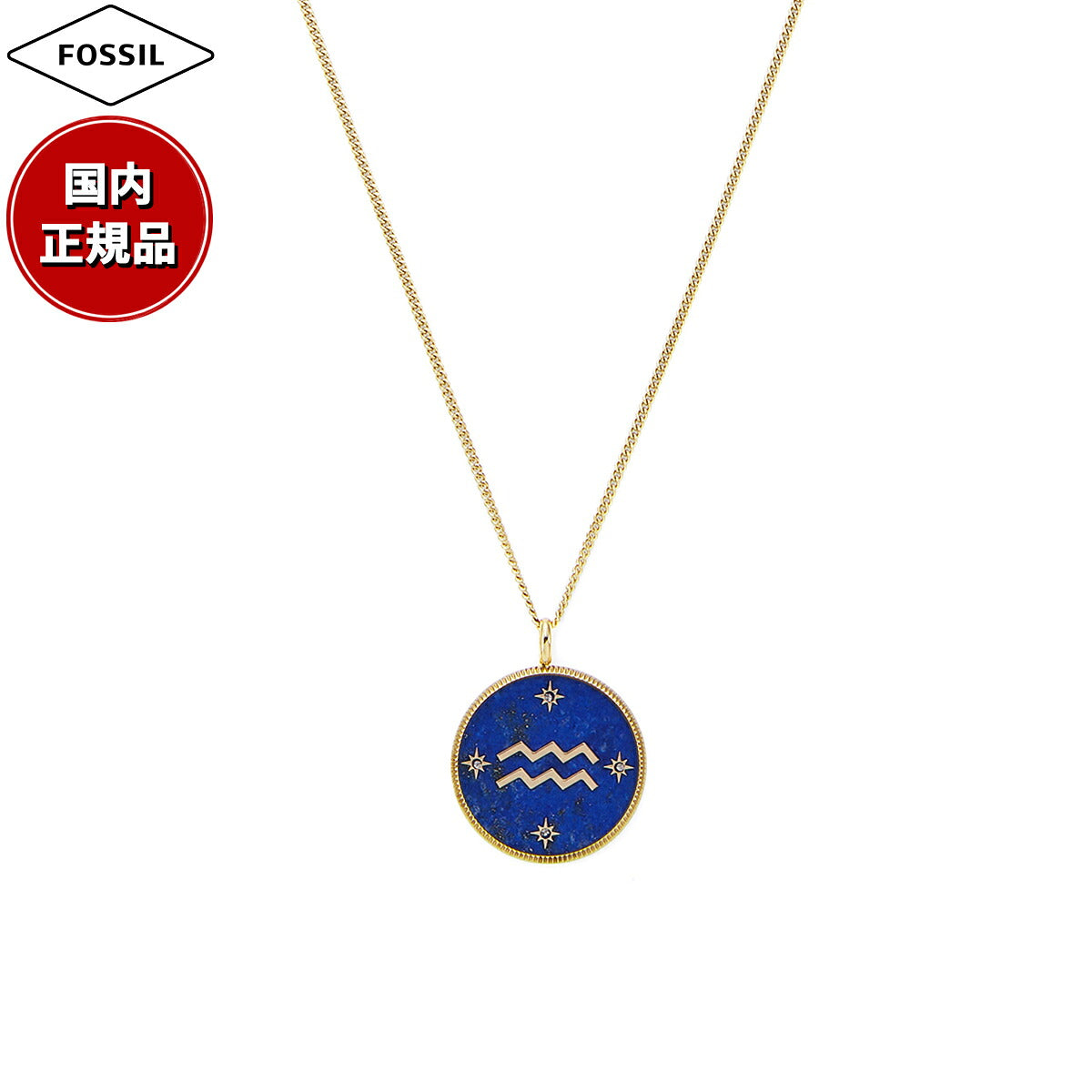 フォッシル FOSSIL Sutton アクセサリー ネックレス ペンダント みずがめ座 レディース JF04849710