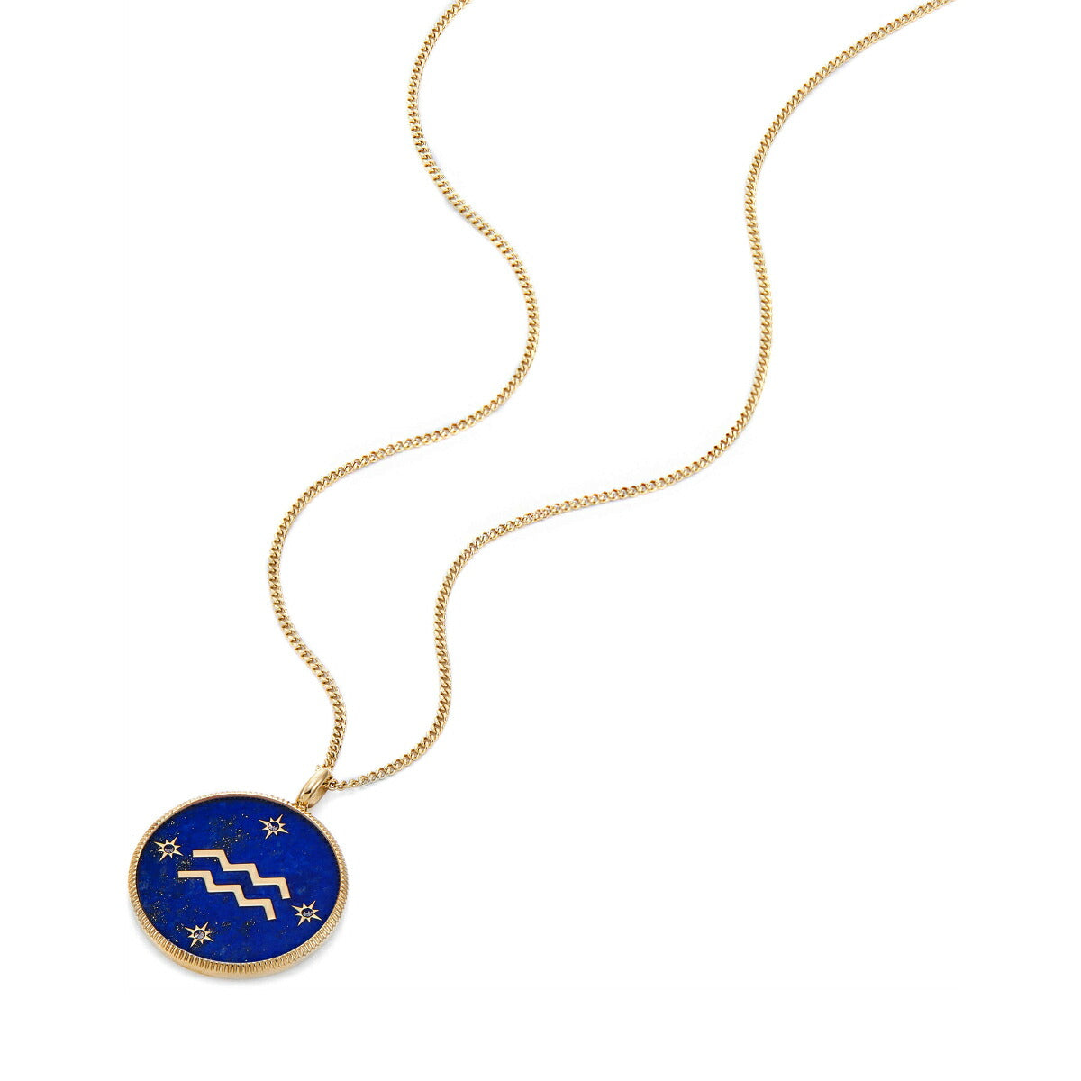 フォッシル FOSSIL Sutton アクセサリー ネックレス ペンダント みずがめ座 レディース JF04849710