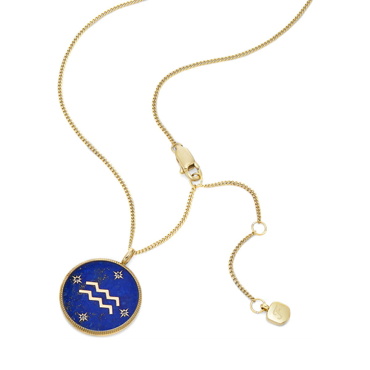 フォッシル FOSSIL Sutton アクセサリー ネックレス ペンダント みずがめ座 レディース JF04849710