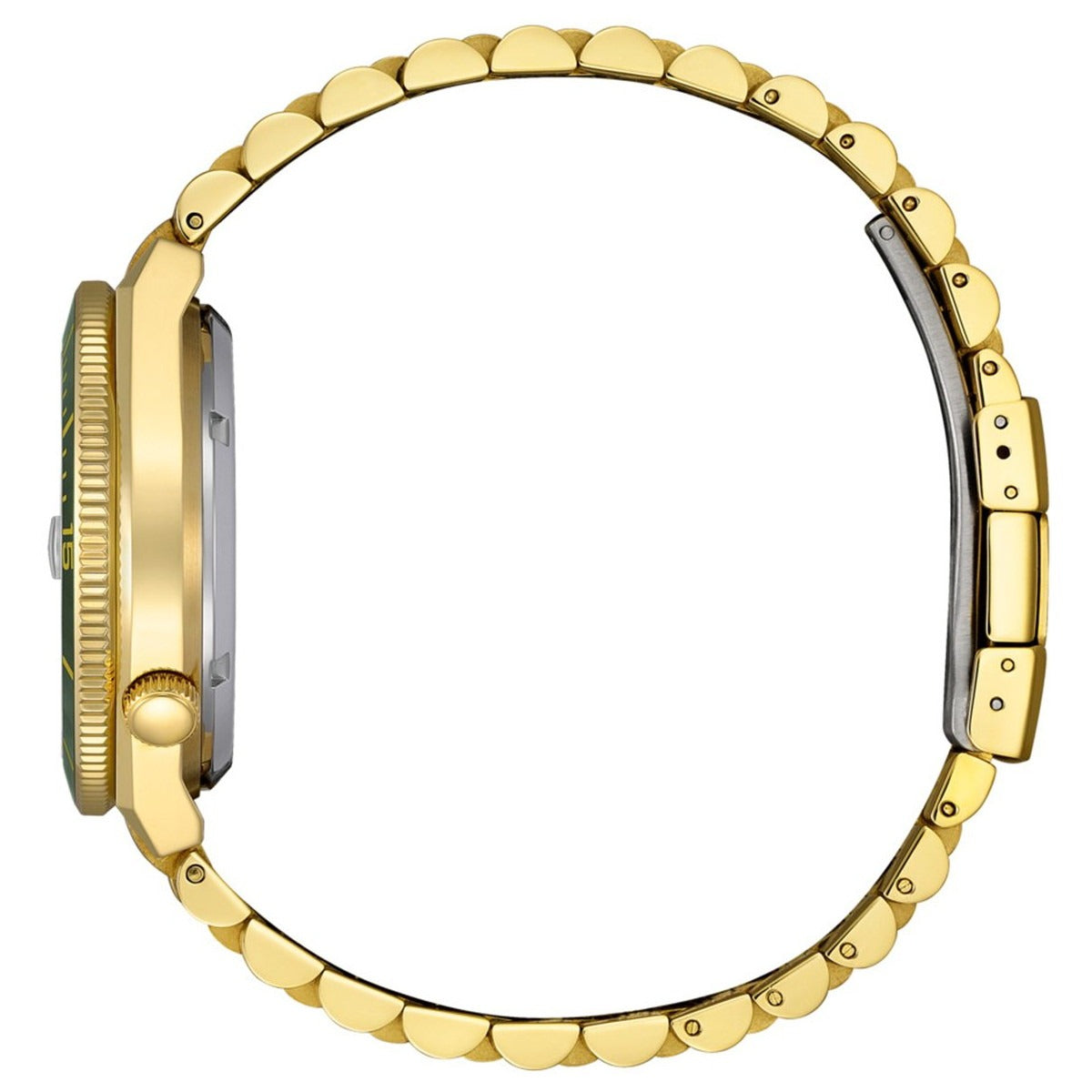 シチズンコレクション CITIZEN COLLECTION メカニカル 自動巻き 機械式 腕時計 メンズ NJ0232-53X TSUYOSA Shore モスグリーン【2026 新作】