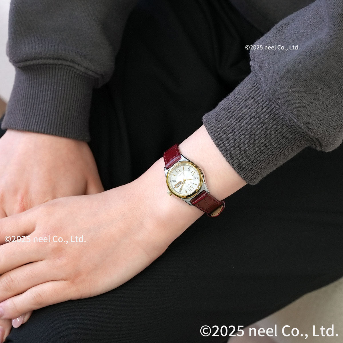 シチズンコレクション CITIZEN COLLECTION メカニカル 自動巻き 機械式 腕時計 レディース PD7166-03A【2026 新作】