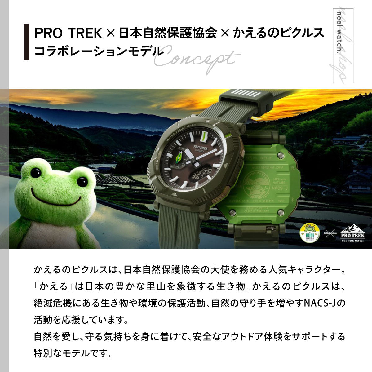 カシオ プロトレック CASIO PRO TREK 日本自然保護協会 かえるのピクルス コラボ 限定 ソーラー 腕時計 メンズ Hiker Line PRJ-B001NJ-3JR【2026 新作】