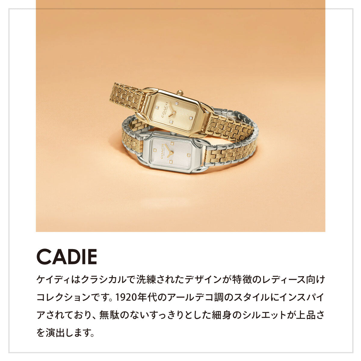 コーチ COACH 腕時計 レディース ケイディ CADIE 28.5MM×17.5MM 14504629【2026 新作】【60回分割手数料無料！】