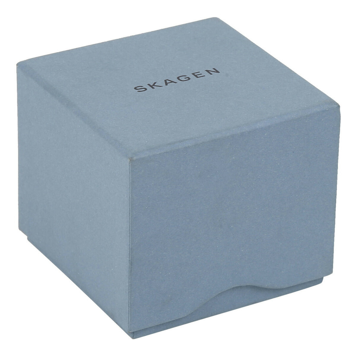 スカーゲン SKAGEN 腕時計 レディース ANITA LILLE スチールメッシュウォッチ SKW2149