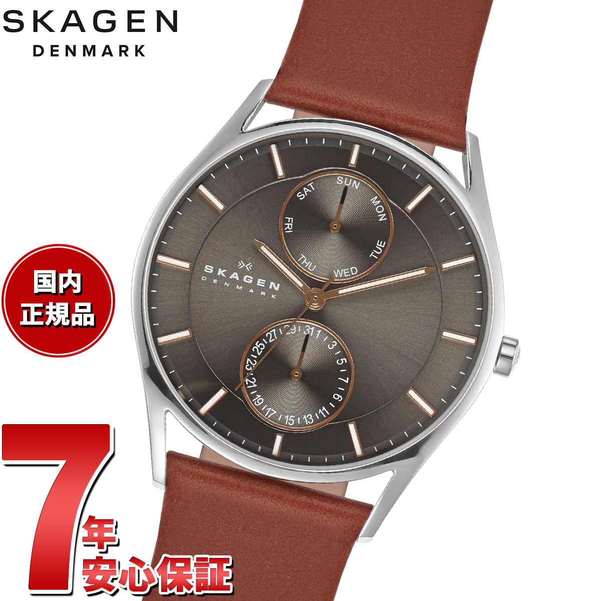 スカーゲン SKAGEN 腕時計 メンズ HOLST クロノグラフ マルチ 