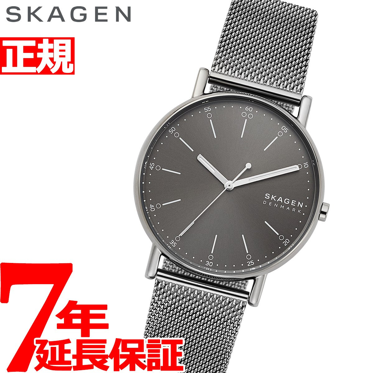 スカーゲン SKAGEN 腕時計 メンズ シグネチャー SIGNATUR SKW6577